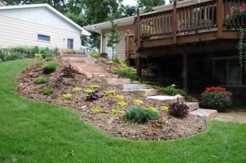 Steps and plantings transform this backyard hill.
